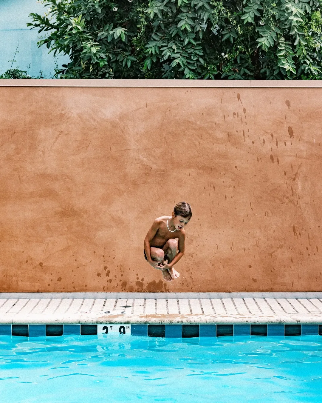 Alsace LA — Los Angeles, United States, photo 6