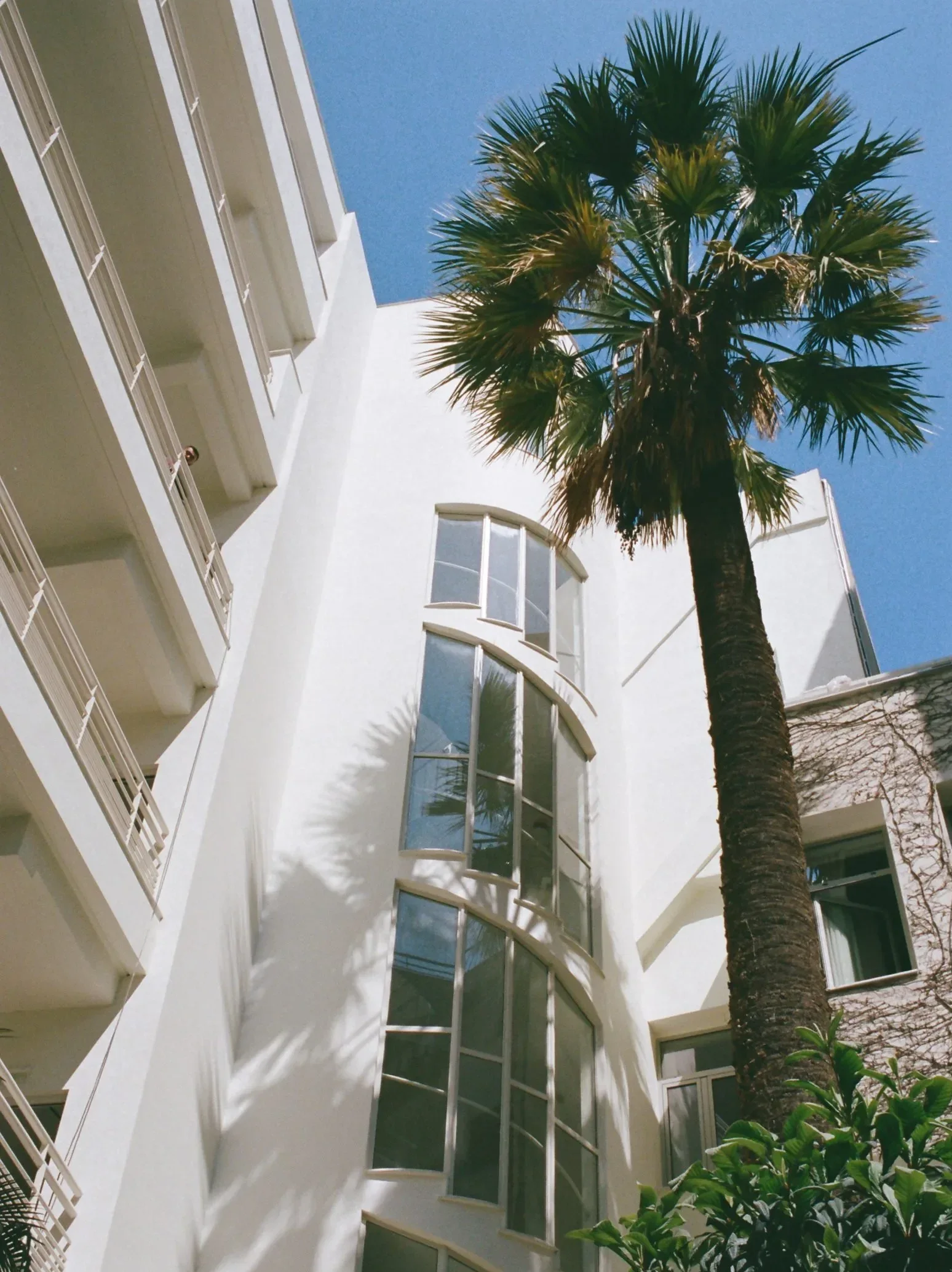 Apollo Palm Hotel — Athens, Greece, photo 2