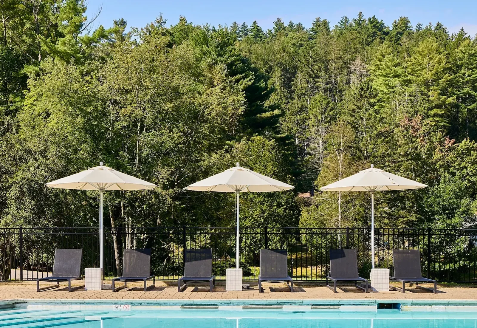 Bluebird Cady Hill Lodge — Stowe, United States, photo 3