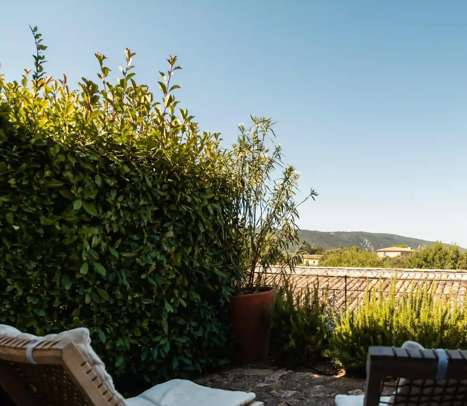 Capelongue — Bonnieux, France, photo 6