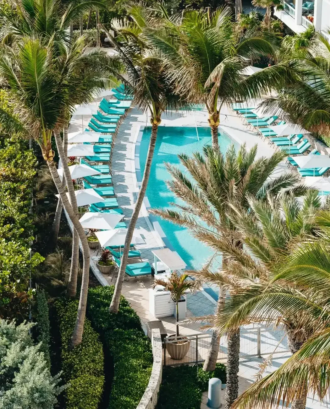 Carillon Miami Wellness Resort — Miami, United States, photo 3