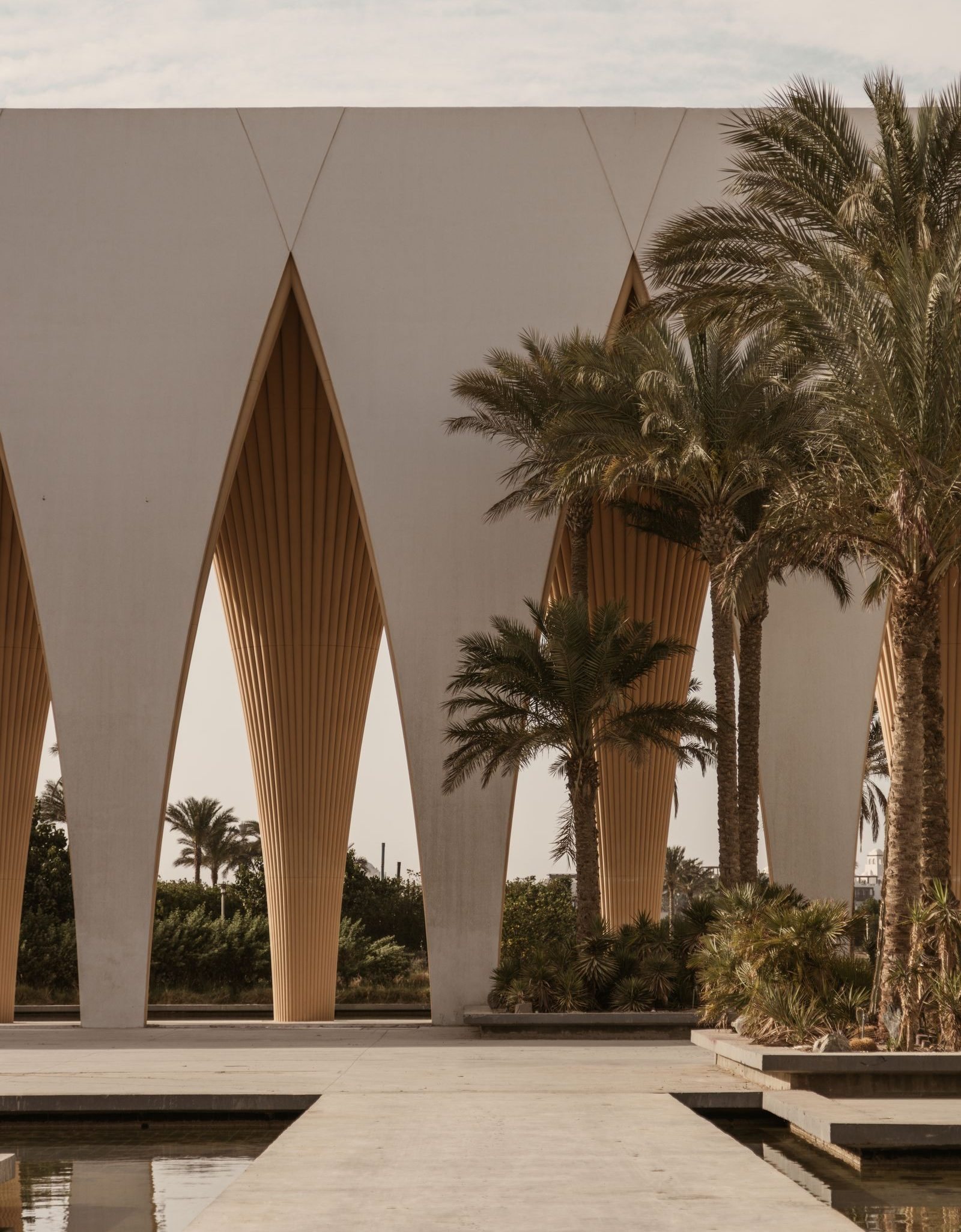 Casa Cook El Gouna — Hurghada, Egypt, photo 8