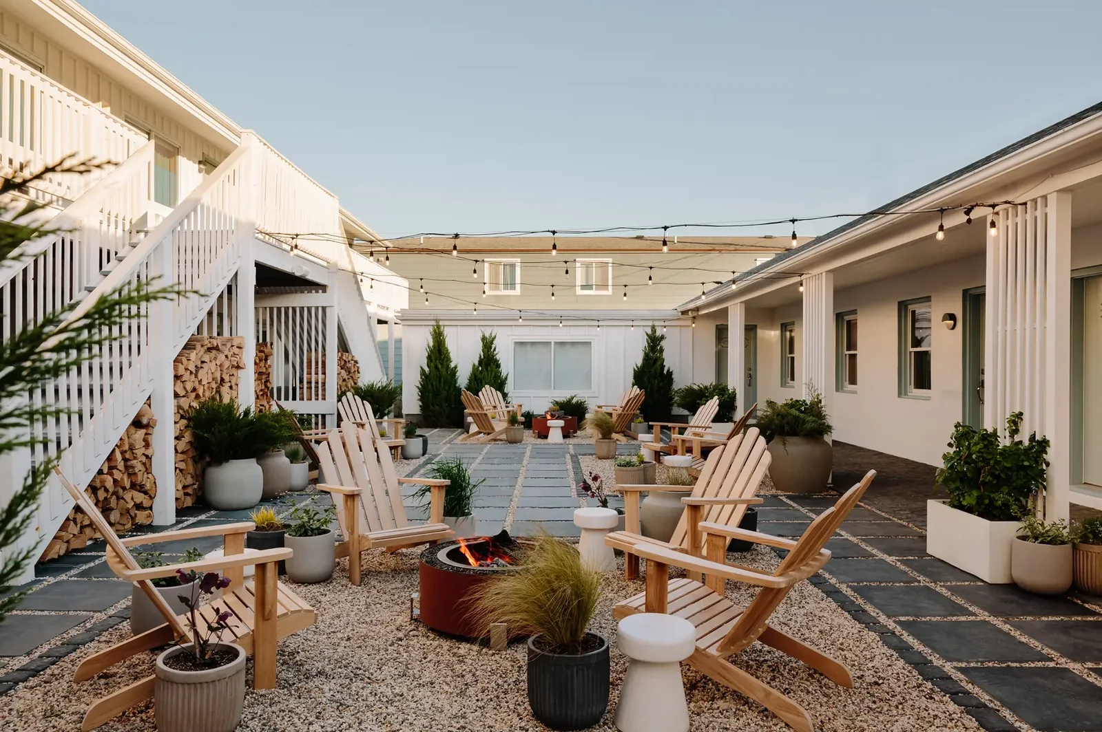 Daunt’s Albatross — Montauk, United States