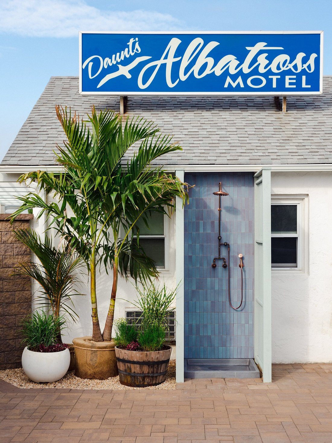 Daunt’s Albatross — Montauk, United States, photo 11