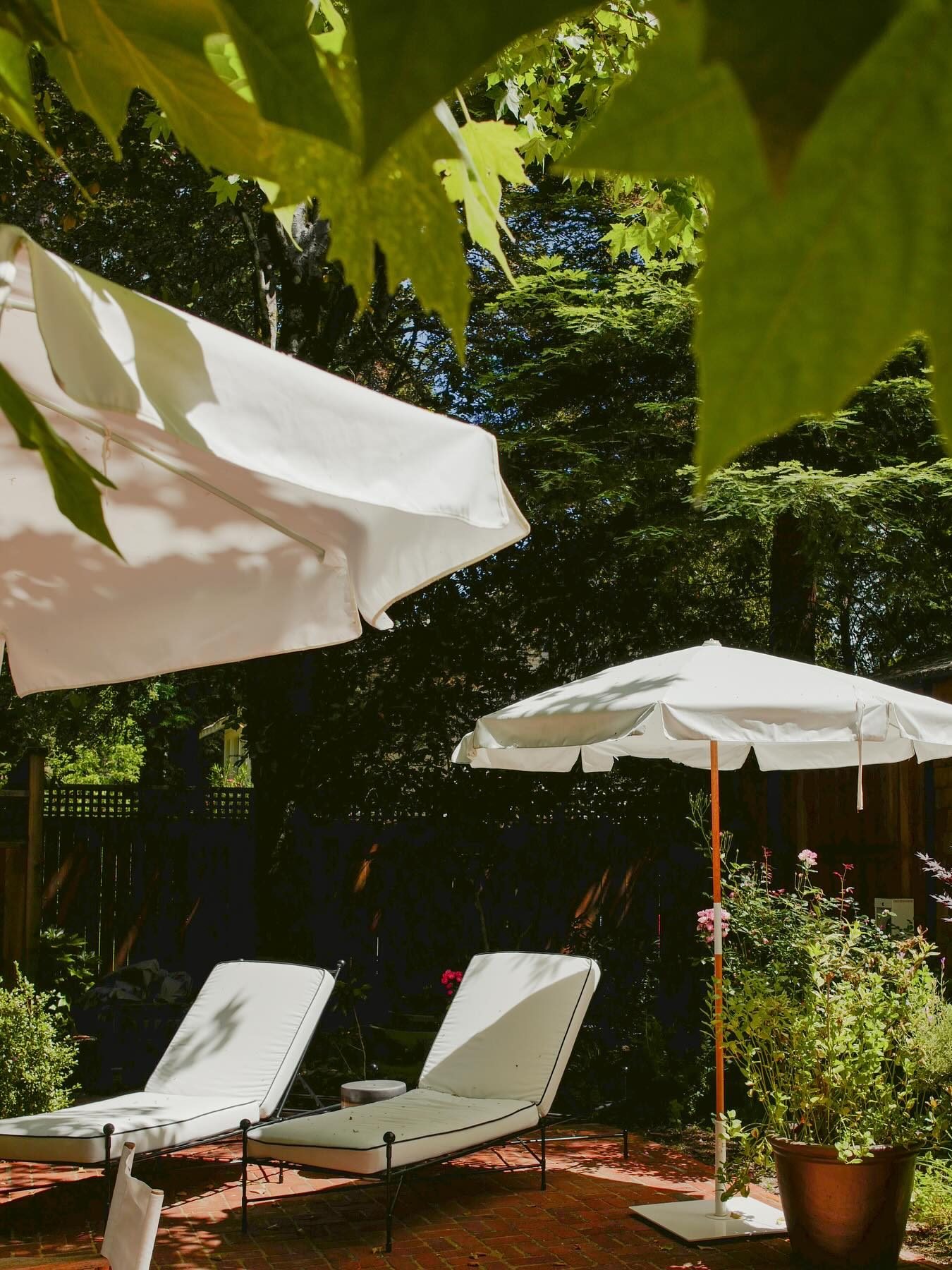 Dawn Ranch — Guerneville, United States, photo 3