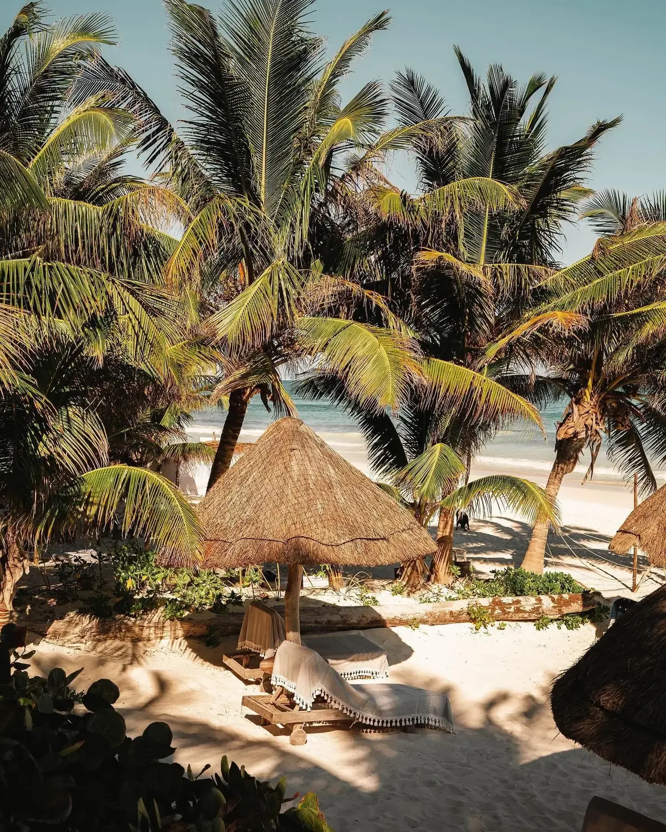 Encantada Tulum — Tulum, Mexico, photo 3