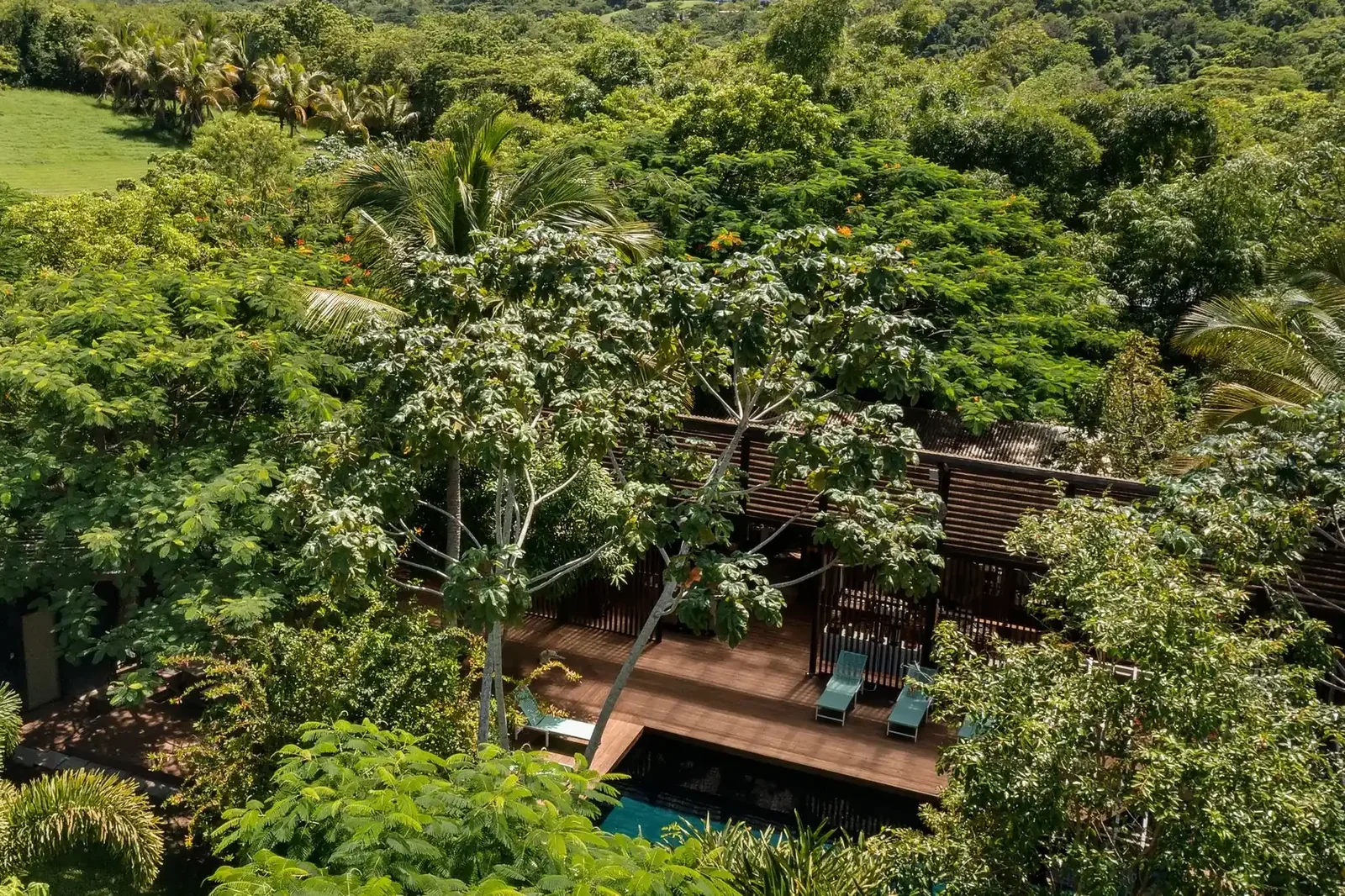 Finca Victoria — Vieques, Puerto Rico, photo 11