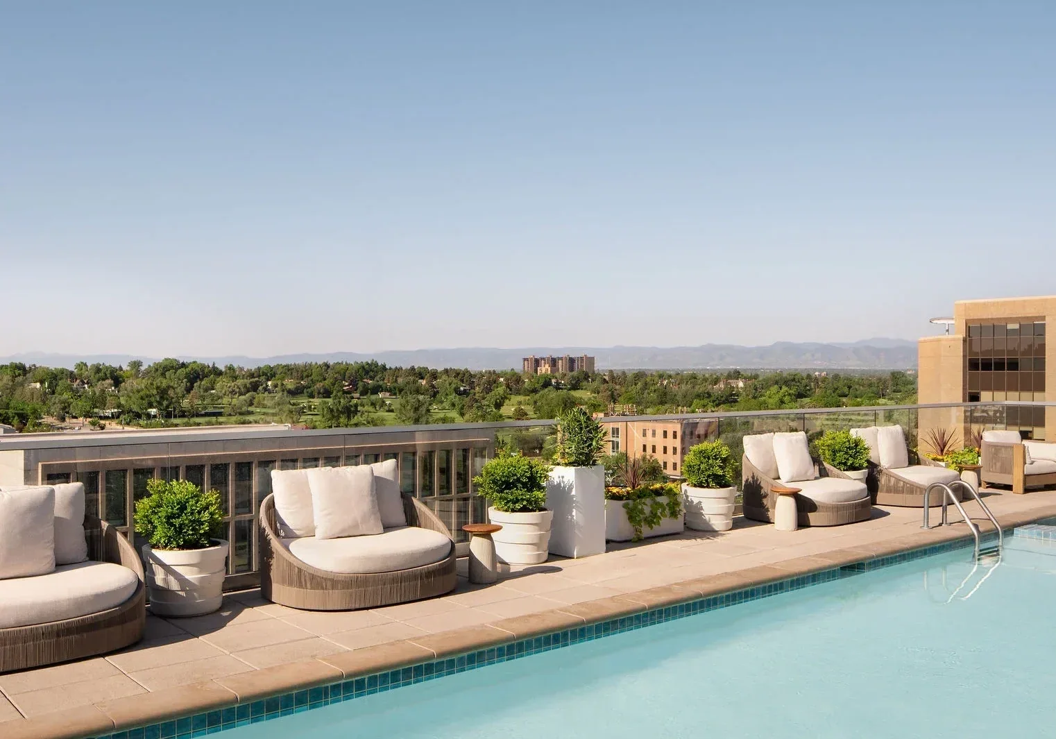 Halcyon — Denver, United States, photo 3
