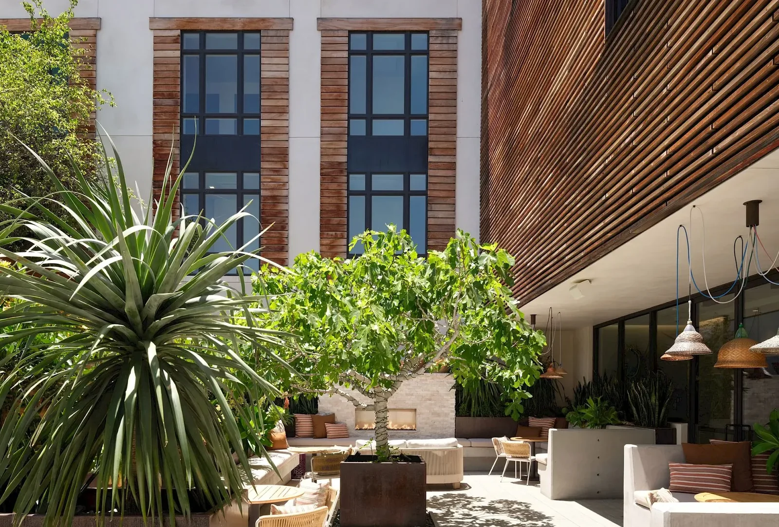Hotel Cerro — San Luis Obispo, United States, photo 3