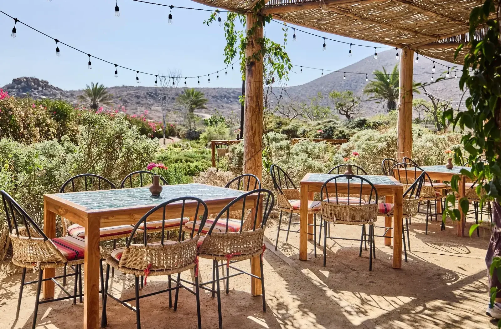 Hotel San Cristóbal — Todos Santos, Mexico, photo 7