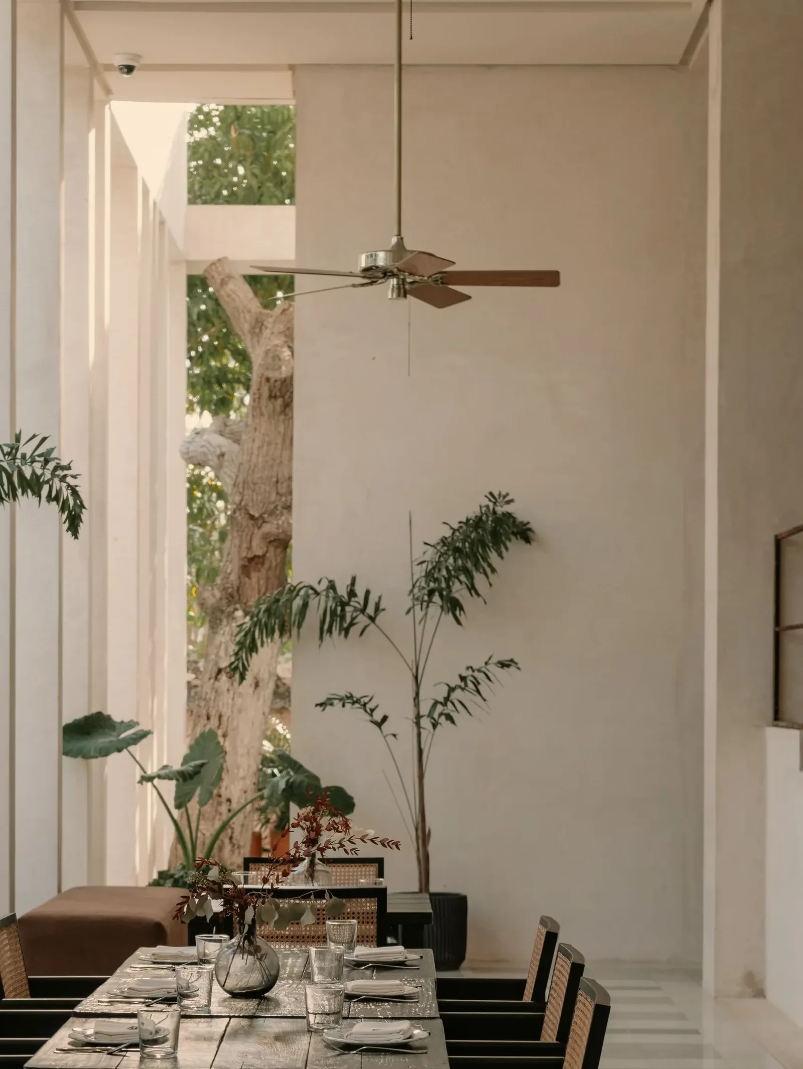 Hotel Sureño — Merida, Mexico, photo 7