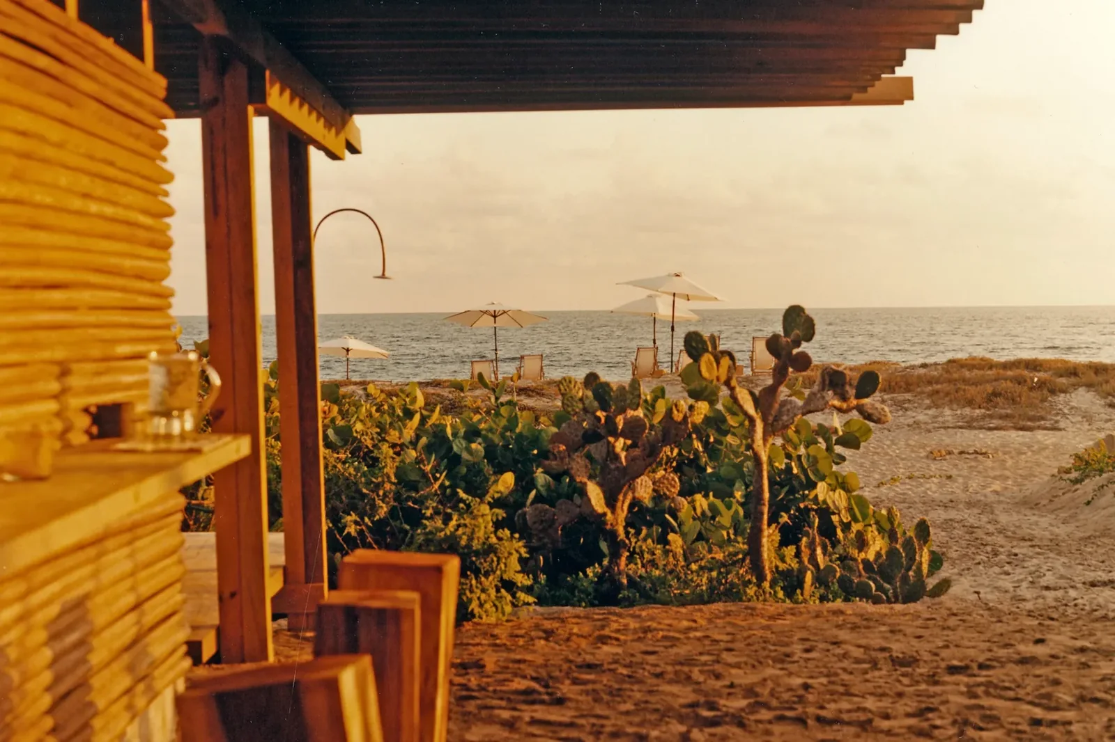 Hotel Terrestre — Puerto Escondido, Mexico, photo 7