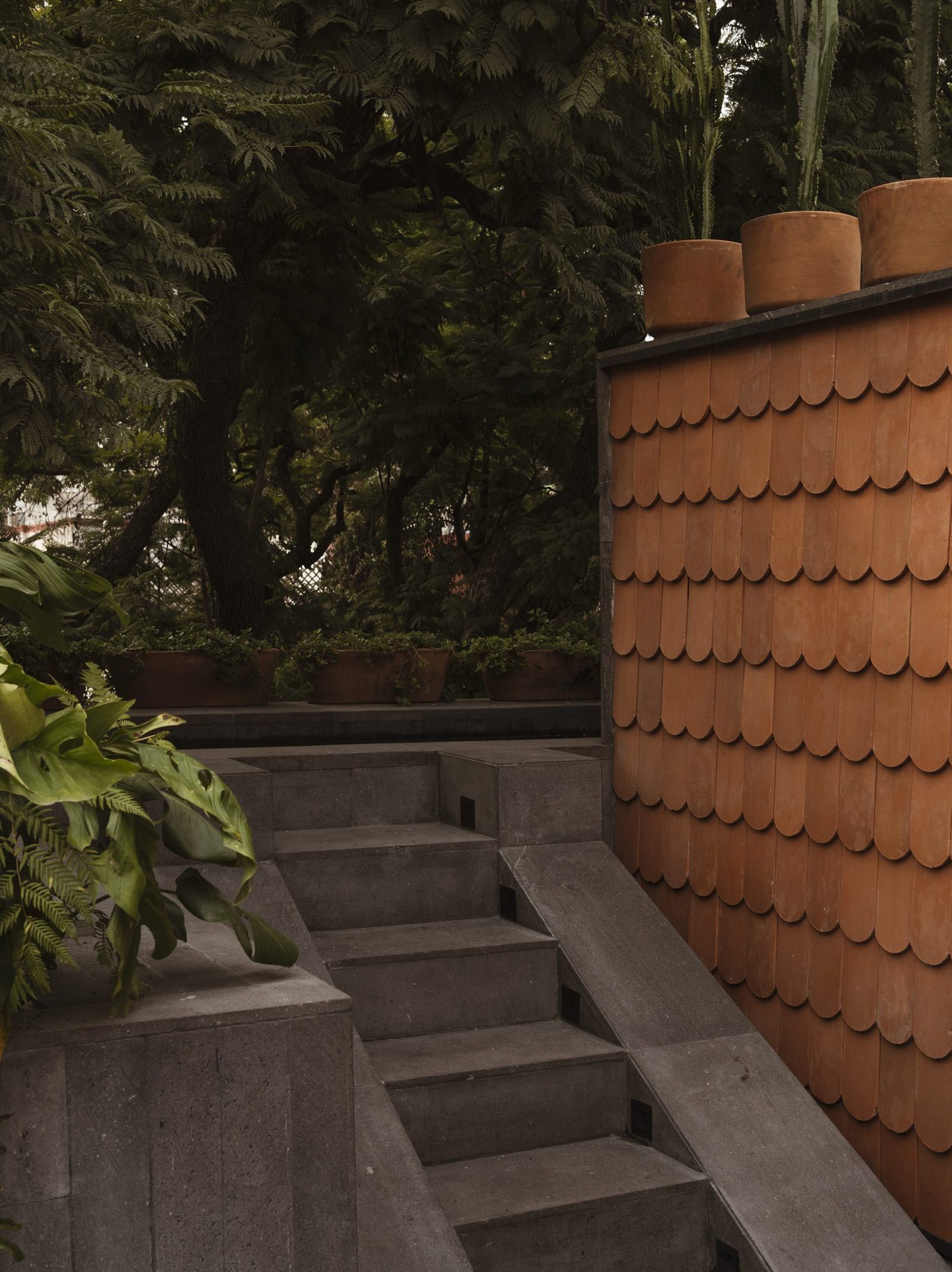 Ignacia Guest House — Mexico City, Mexico, photo 4