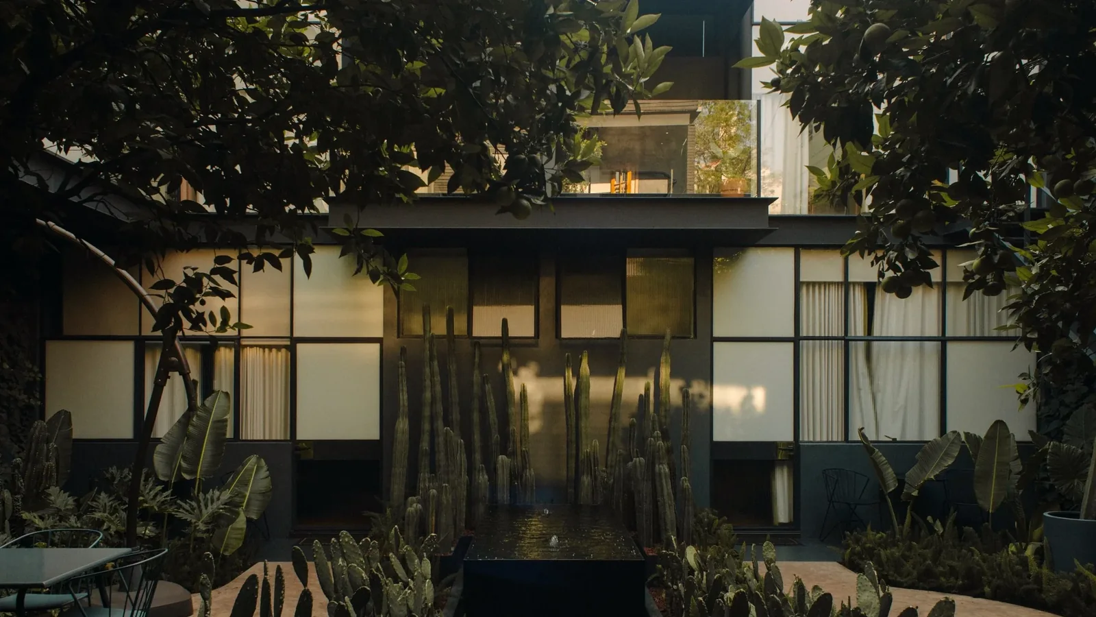 Ignacia Guest House — Mexico City, Mexico, photo 5