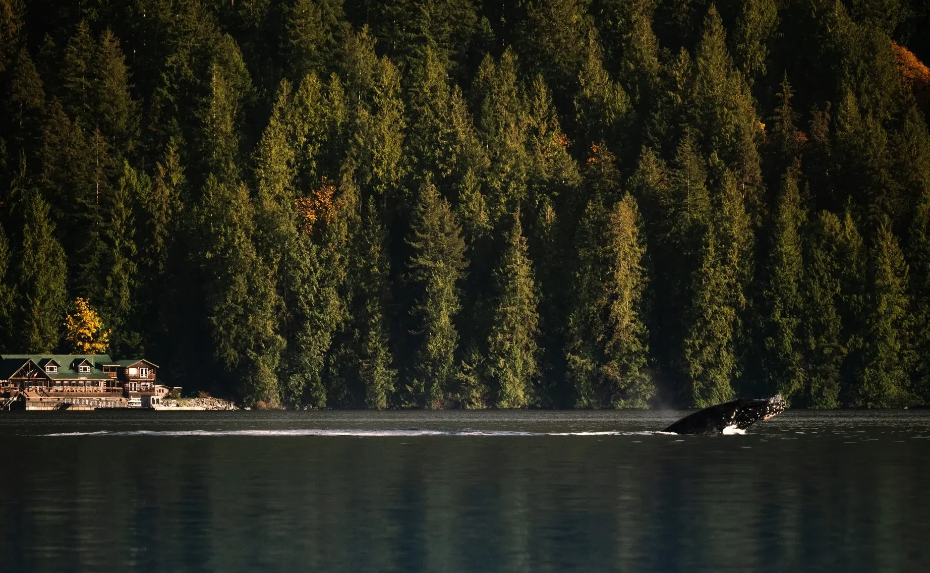 Klahoose Wilderness Resort — Desolation Sound, Canada