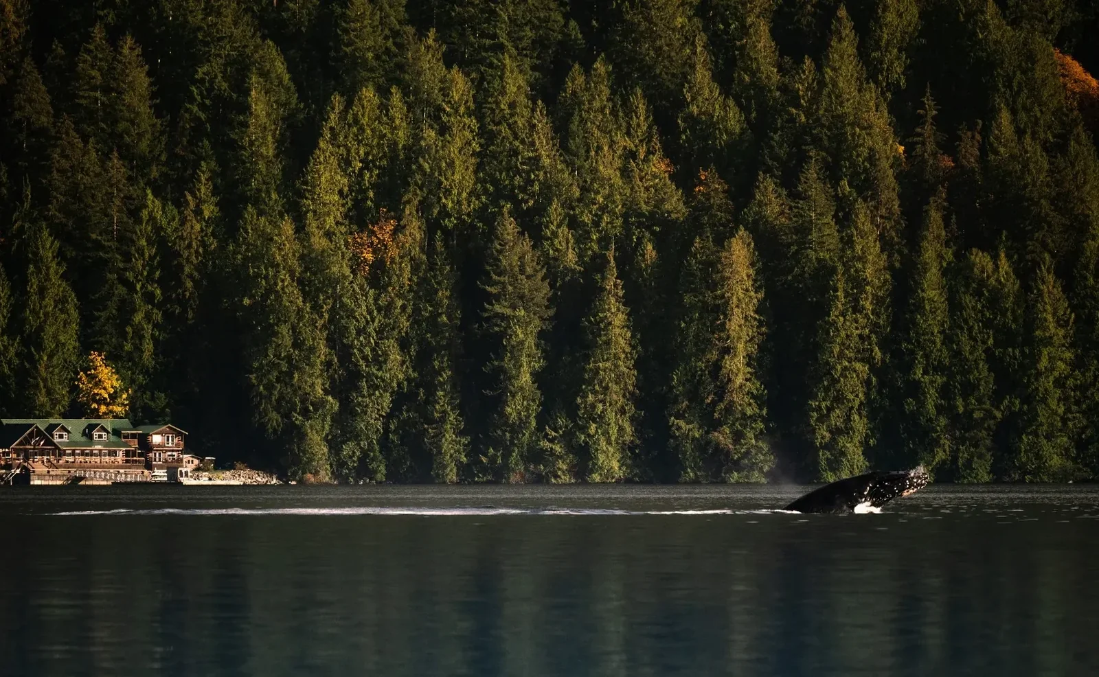 Klahoose Wilderness Resort — Desolation Sound, Canada