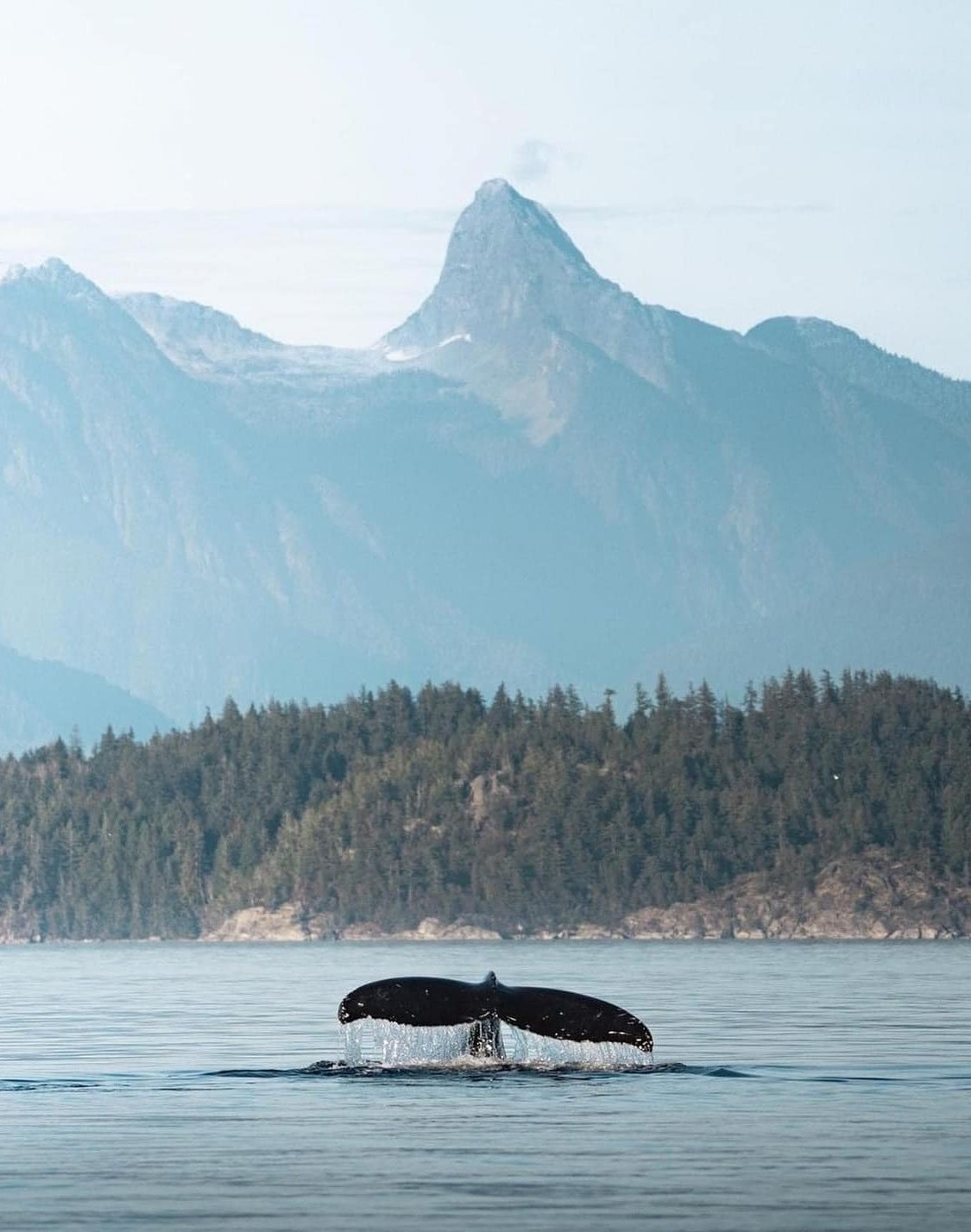 Klahoose Wilderness Resort — Desolation Sound, Canada, photo 5