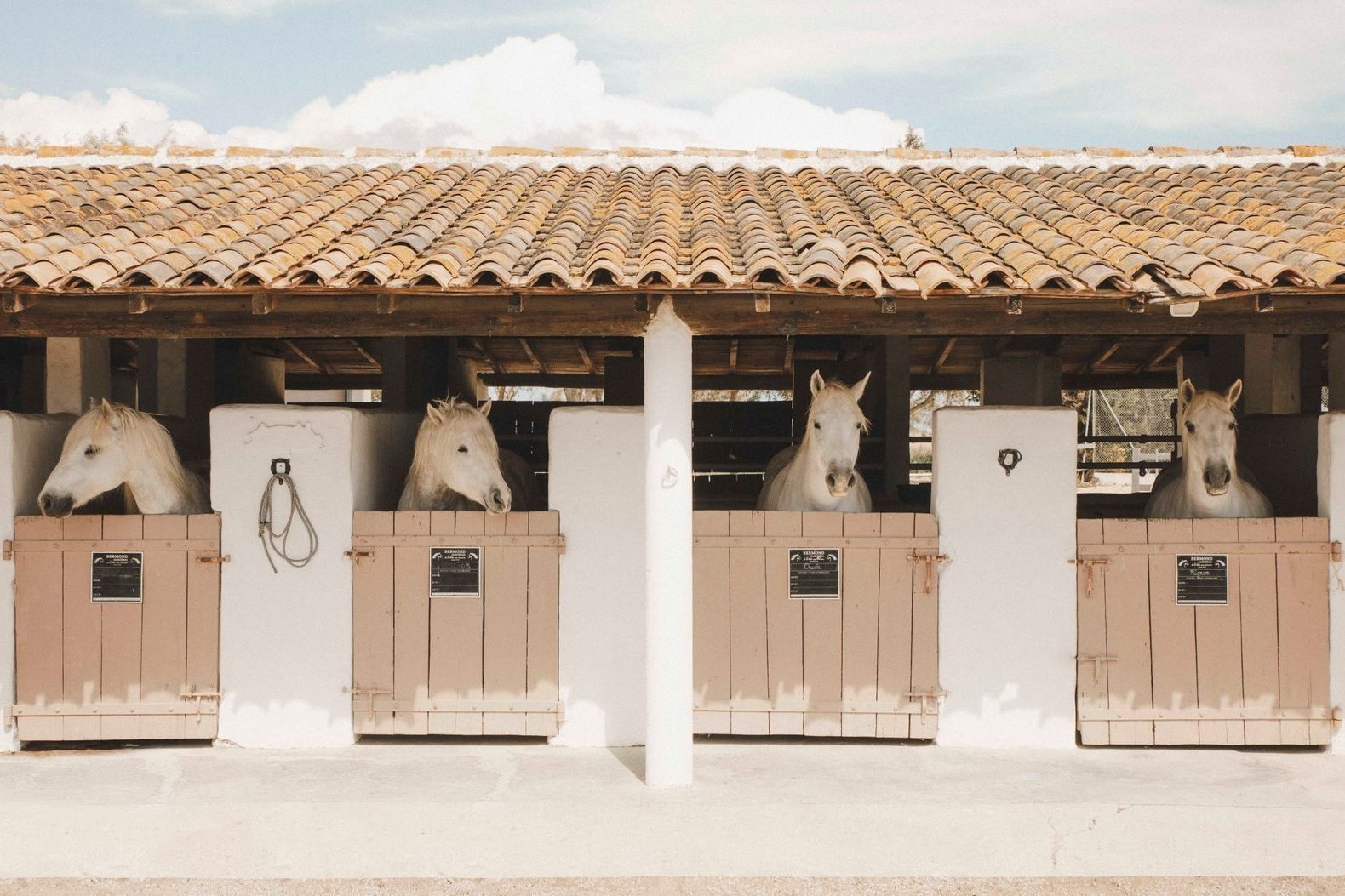 Les Bains Gardians — Provence, France, photo 11