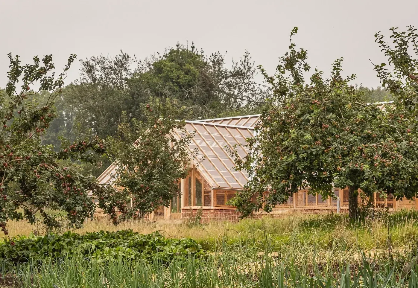 Louma Farm and Retreat — Dorset, United Kingdom, photo 6
