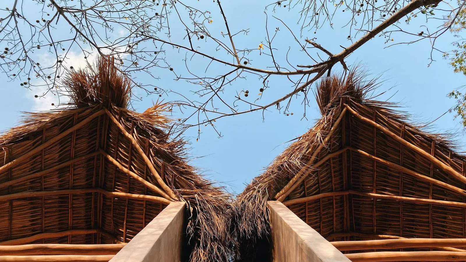 Monte Uzulu  — San Agustinillo, Mexico, photo 5