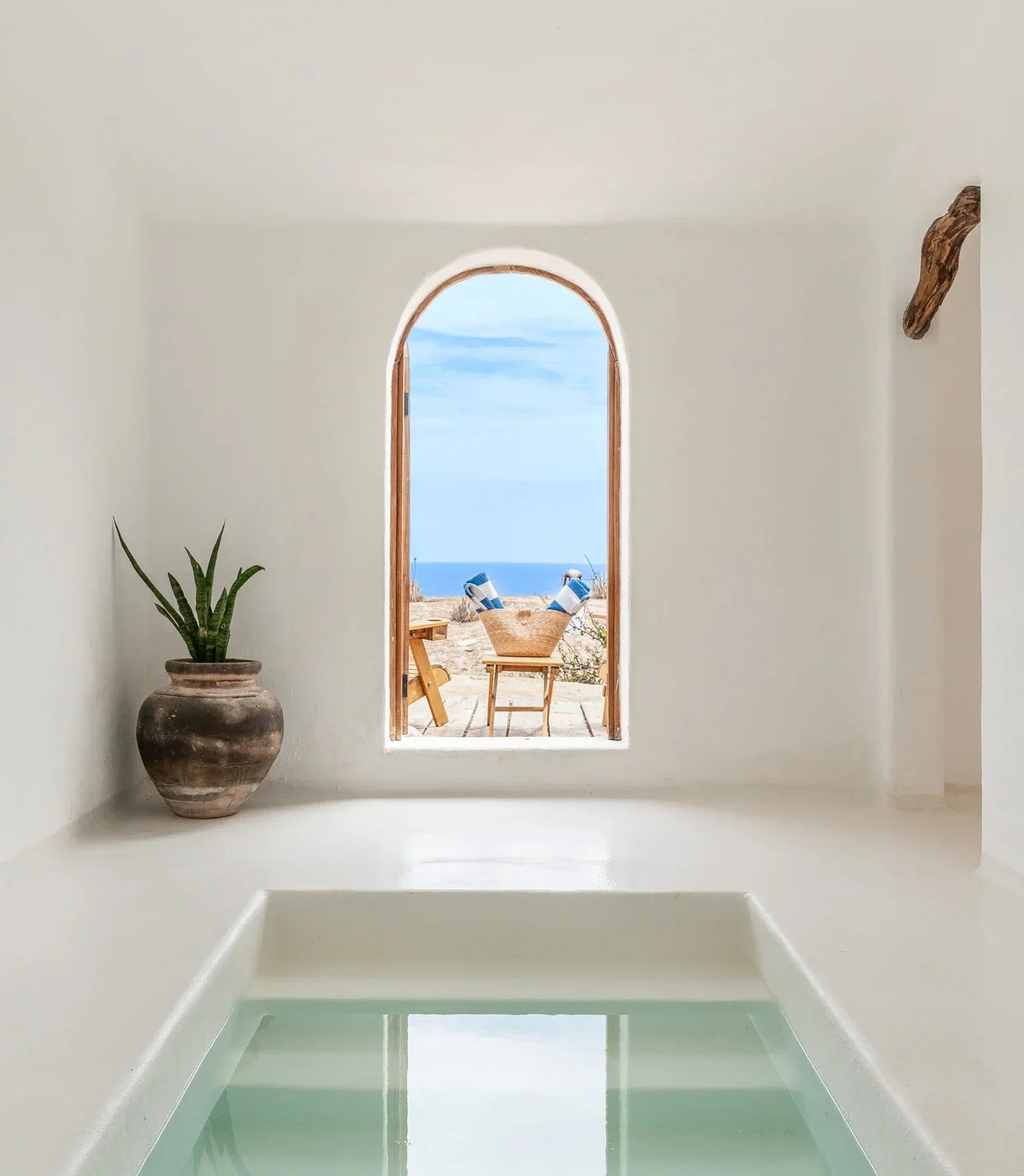 NEST Baja — San Jose del Cabo, Mexico, photo 5