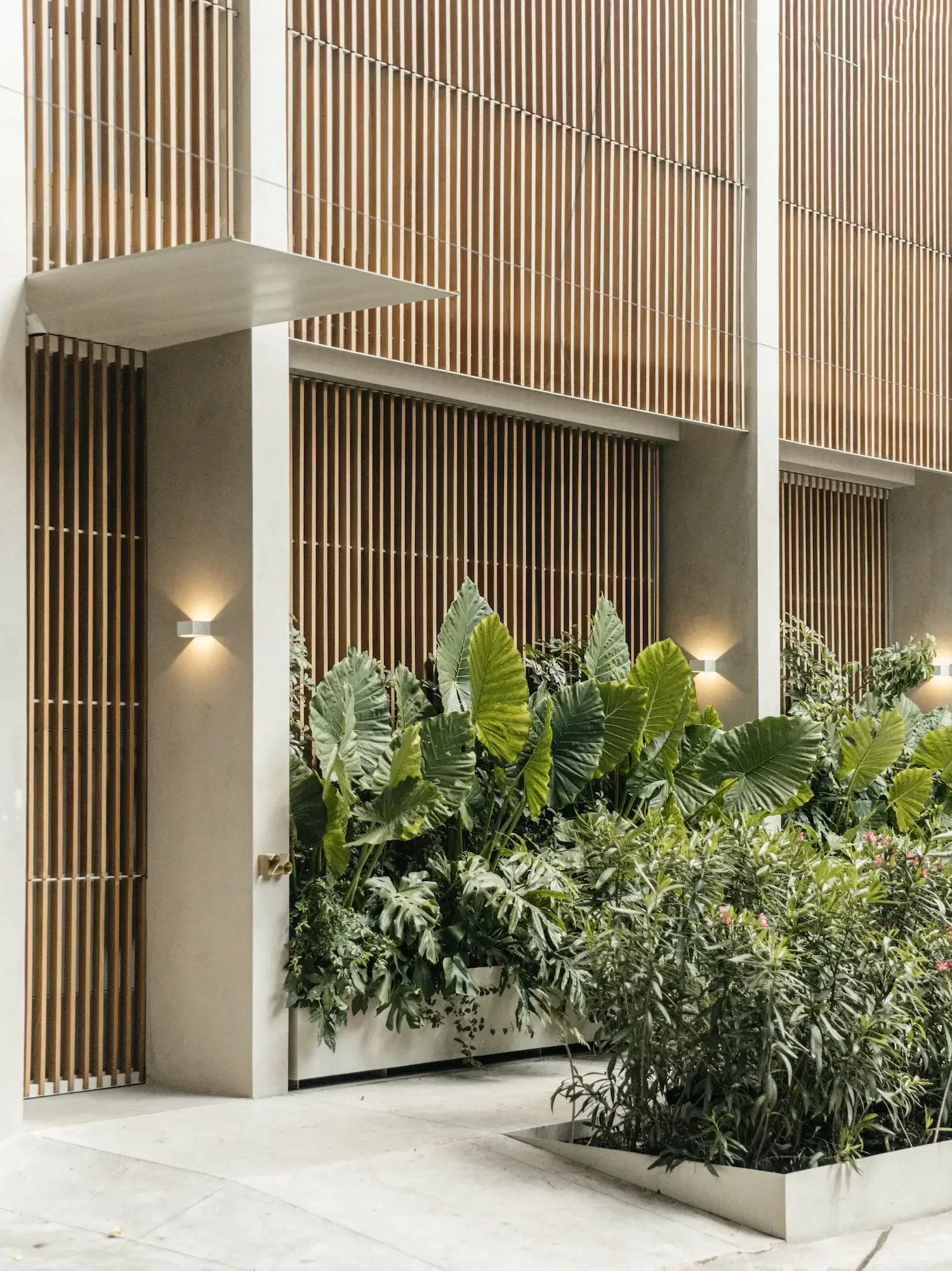 Octavia Casa — Mexico City, Mexico, photo 4