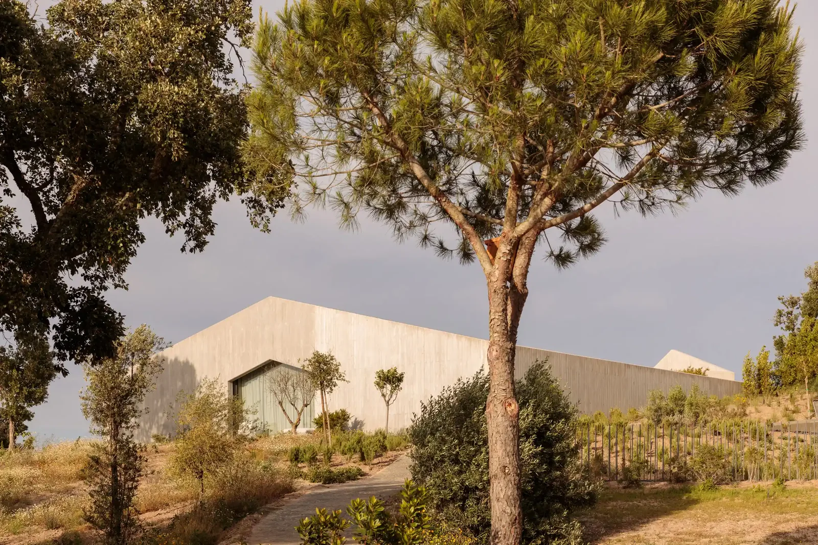 Pa.te.os — Melides, Portugal, photo 12