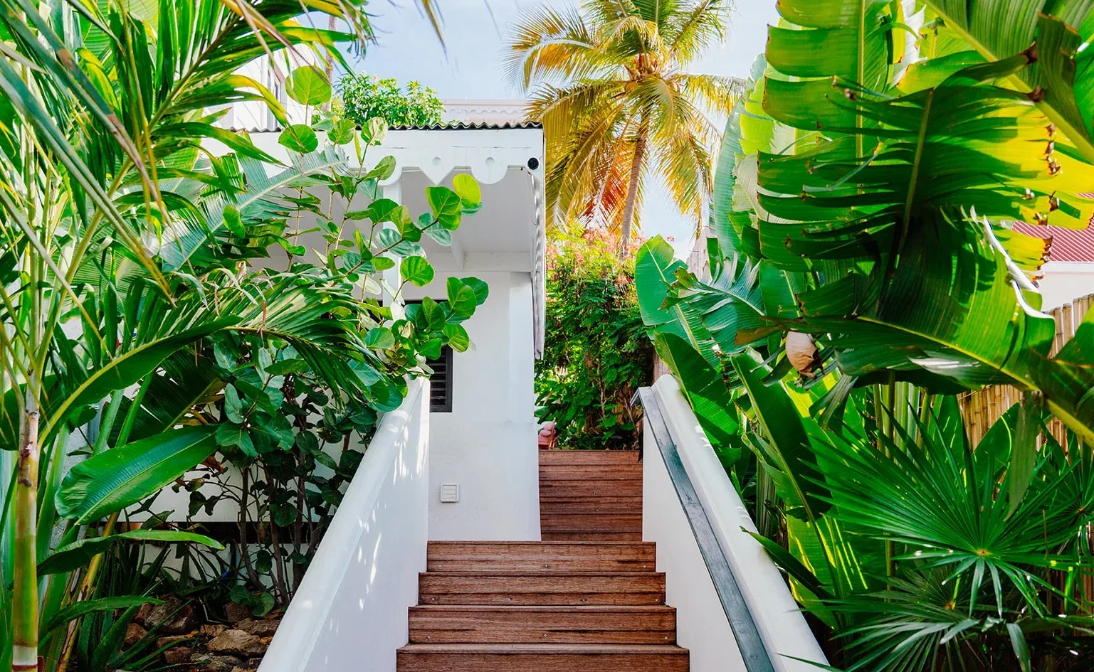 Pink Palm Hotel — St Thomas, Caribbean, photo 3