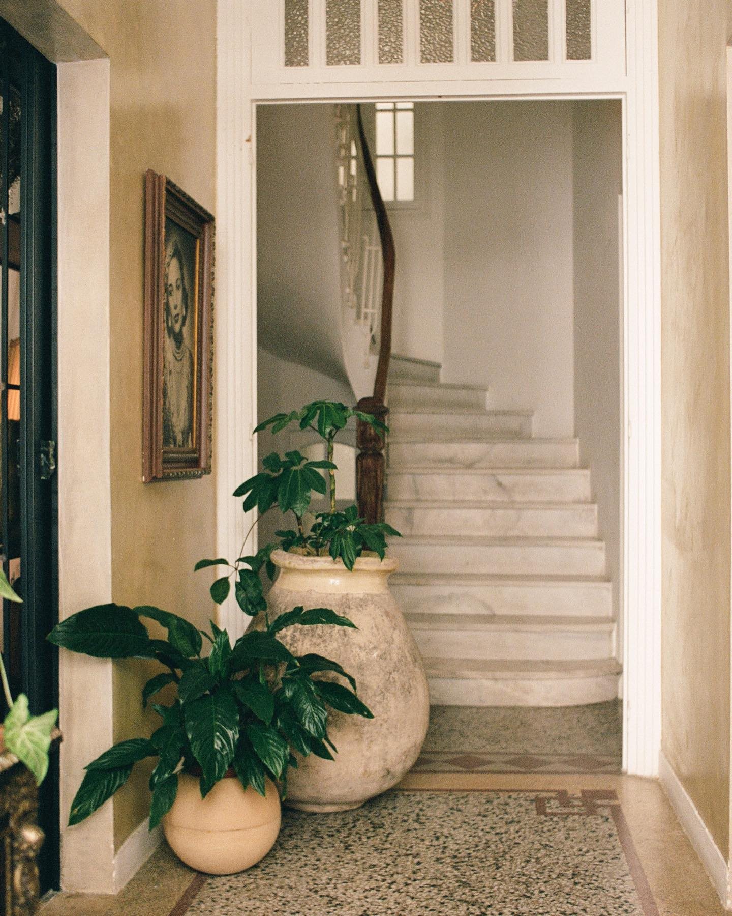 Shila Athens — Athens, Greece, photo 6