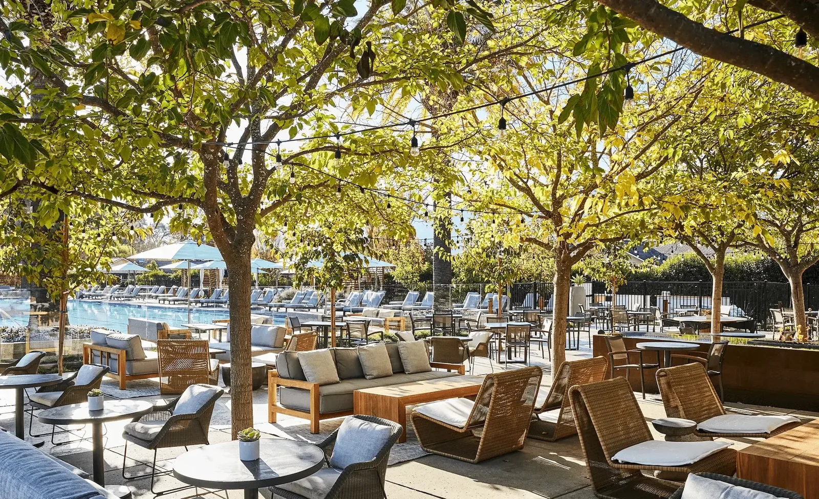 Solage, Auberge Collection — Calistoga, United States, photo 4