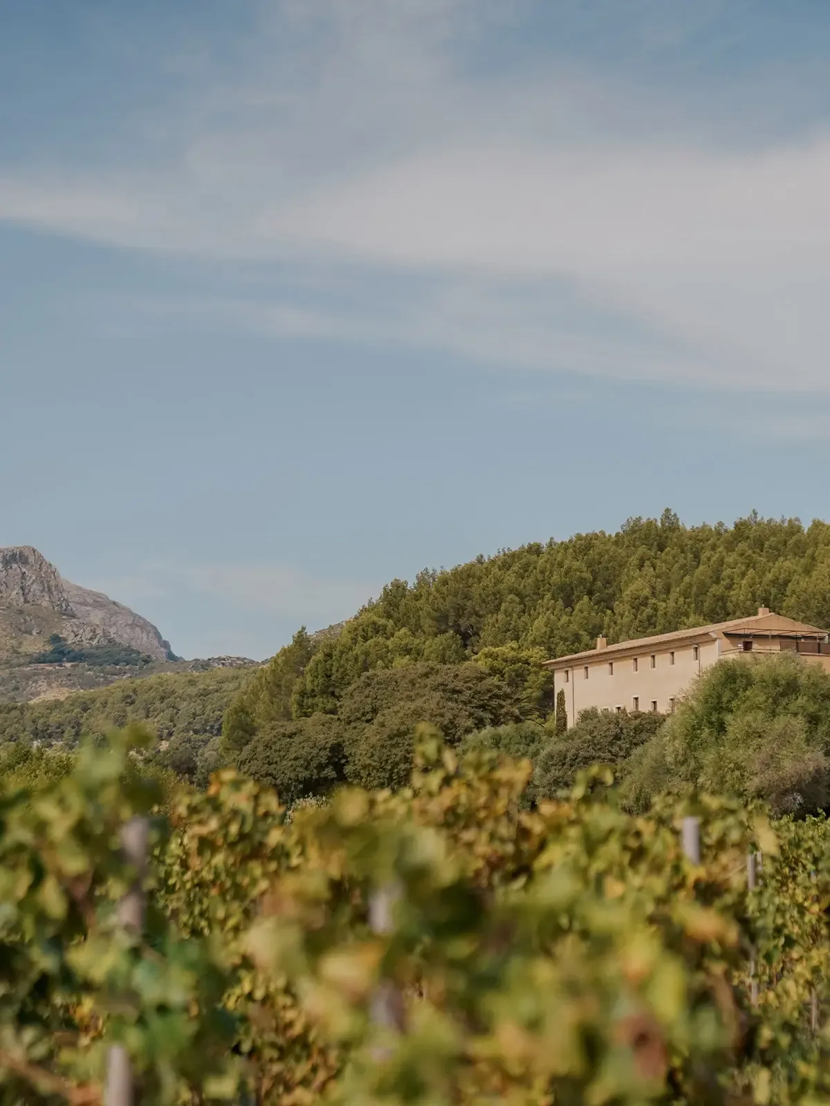 Son Brull — Pollença, Spain