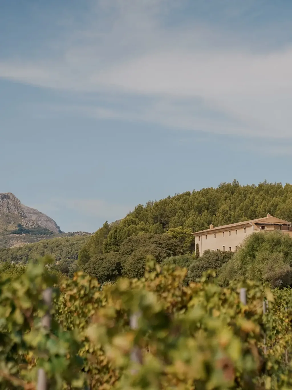 Son Brull — Pollença, Spain