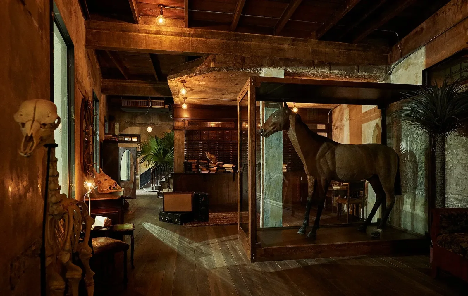 The Mustang Blu — Bangkok, Thailand, photo 2