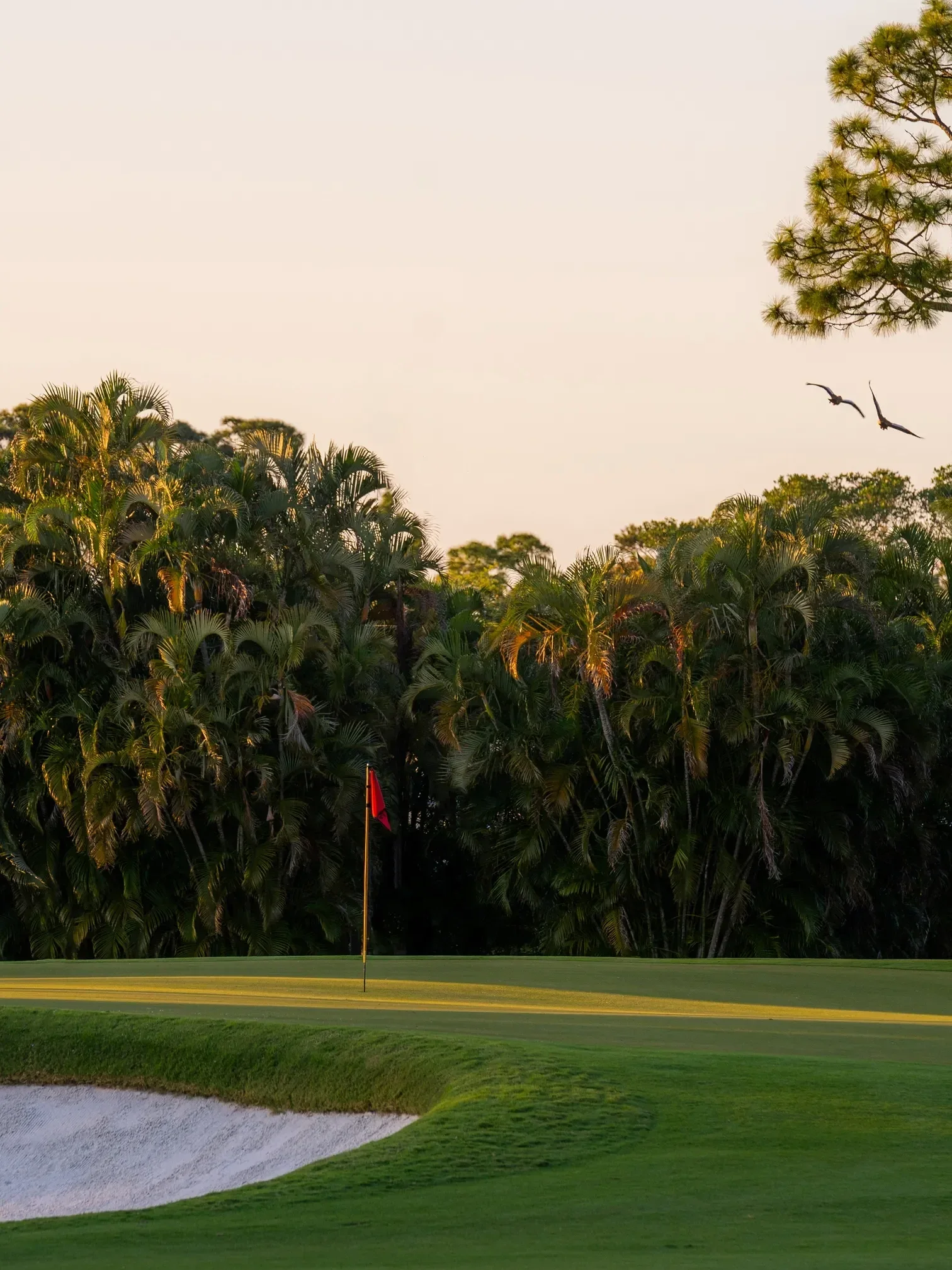 The Seagate — Delray Beach, United States, photo 6