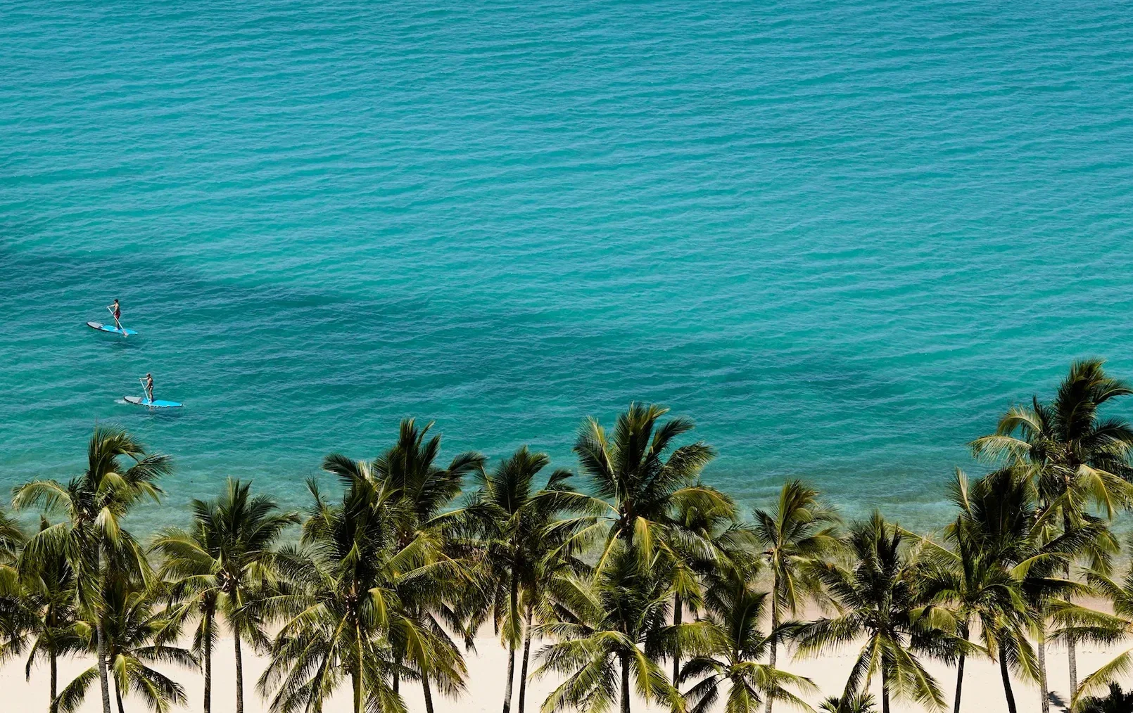 The Sundays — Hamilton Island, Australia