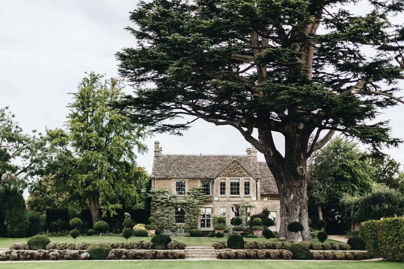 Thyme — Southrop, United Kingdom, photo 2