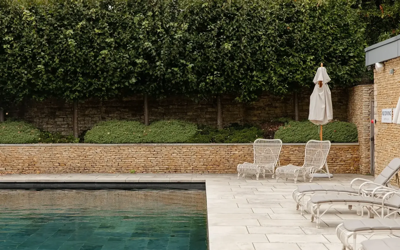 Thyme — Southrop, United Kingdom, photo 9