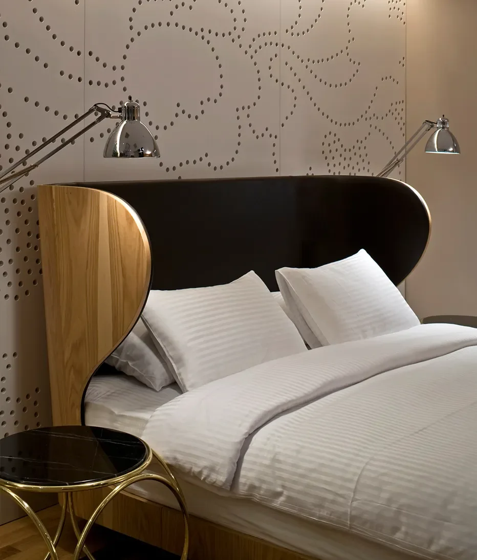 Witt Istanbul Hotel — Istanbul, Turkey, photo 5
